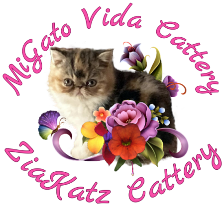 Migato Vida - ZiaKatz Logo