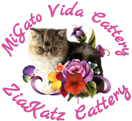 Migato Vida - ZiaKatz Logo