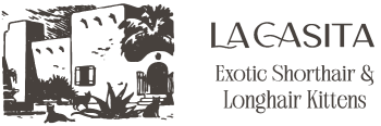 La Casita Cattery